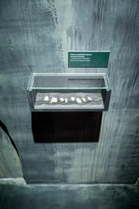 IMG-35.jpg