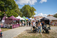 FestivalPlnyChuti-11.jpg