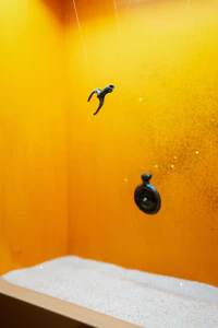 IMG-11.jpg