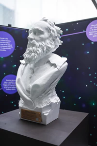 foto - busta Galileo 06.jpg