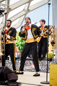 foto festival chutí veselí 08.jpg