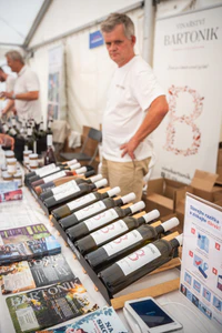 FestivalLetovice-38.jpg