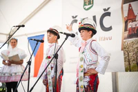 VeniceRokuCejc-12.jpg